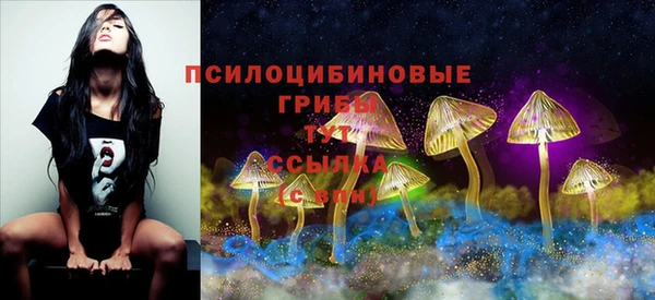 гидропоника Аркадак