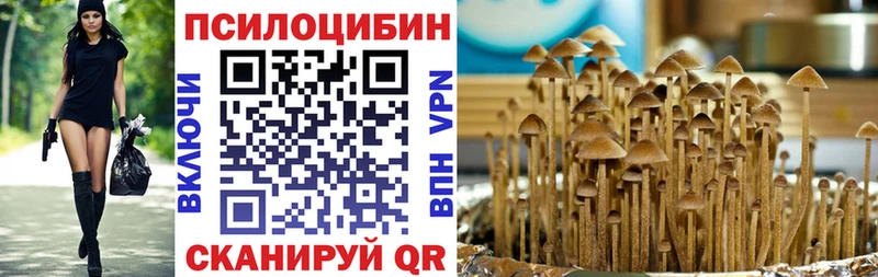 купить наркотики цена  Усть-Джегута  Галлюциногенные грибы Cubensis 